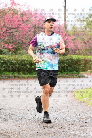 2026左岸竹東櫻花馬拉松Zhudong Sakura Marathon
