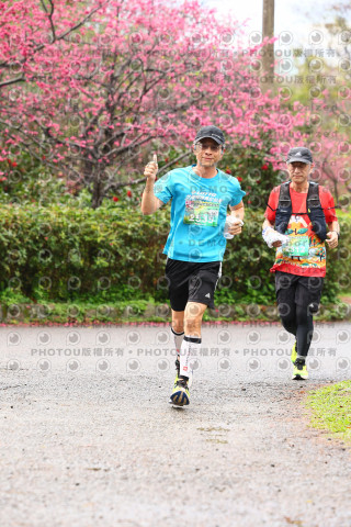 2026左岸竹東櫻花馬拉松Zhudong Sakura Marathon
