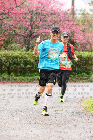 2026左岸竹東櫻花馬拉松Zhudong Sakura Marathon