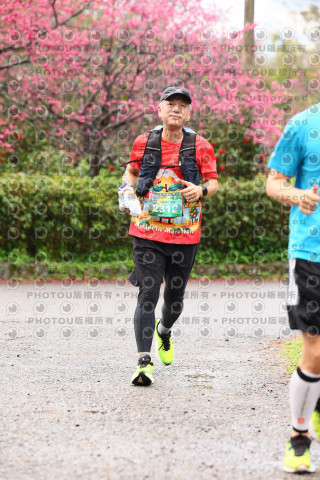 2026左岸竹東櫻花馬拉松Zhudong Sakura Marathon