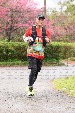 2026左岸竹東櫻花馬拉松Zhudong Sakura Marathon