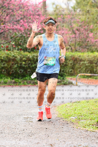 2026左岸竹東櫻花馬拉松Zhudong Sakura Marathon