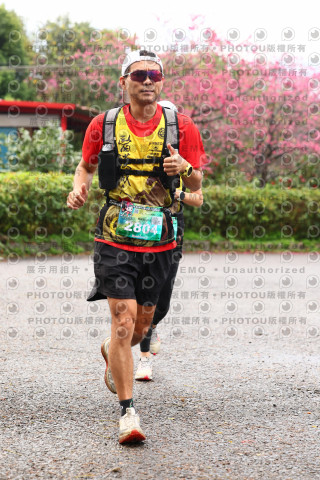 2026左岸竹東櫻花馬拉松Zhudong Sakura Marathon