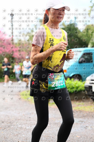 2026左岸竹東櫻花馬拉松Zhudong Sakura Marathon