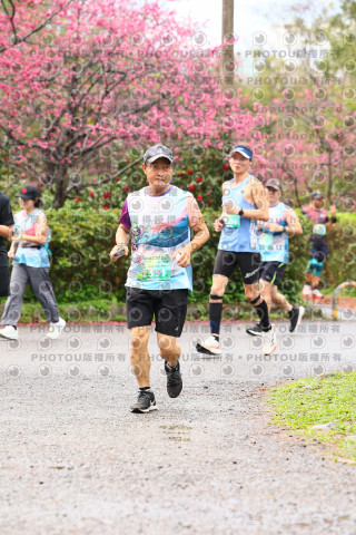 2026左岸竹東櫻花馬拉松Zhudong Sakura Marathon