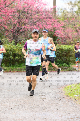 2026左岸竹東櫻花馬拉松Zhudong Sakura Marathon