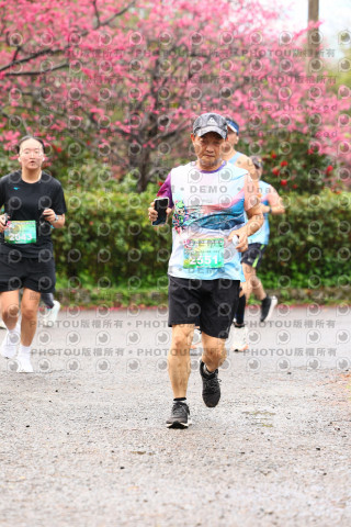 2026左岸竹東櫻花馬拉松Zhudong Sakura Marathon