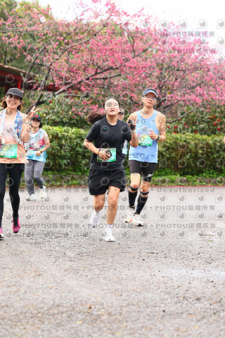 2026左岸竹東櫻花馬拉松Zhudong Sakura Marathon