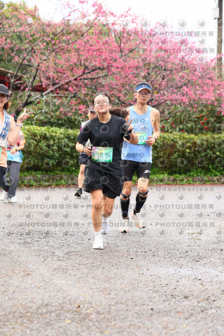 2026左岸竹東櫻花馬拉松Zhudong Sakura Marathon