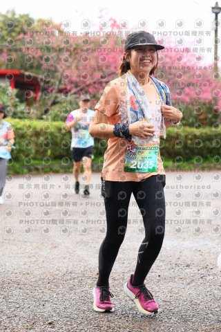 2026左岸竹東櫻花馬拉松Zhudong Sakura Marathon