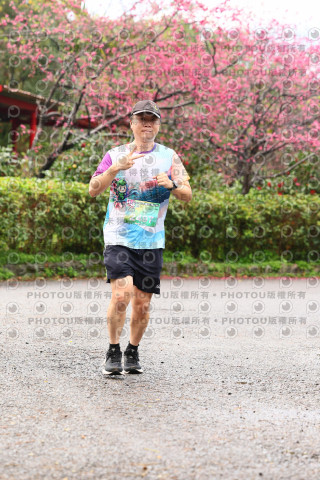 2026左岸竹東櫻花馬拉松Zhudong Sakura Marathon