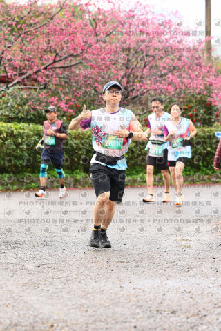 2026左岸竹東櫻花馬拉松Zhudong Sakura Marathon