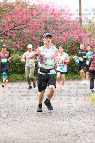 2026左岸竹東櫻花馬拉松Zhudong Sakura Marathon