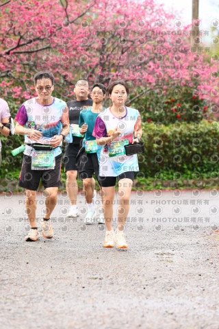 2026左岸竹東櫻花馬拉松Zhudong Sakura Marathon