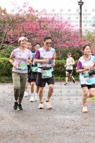 2026左岸竹東櫻花馬拉松Zhudong Sakura Marathon