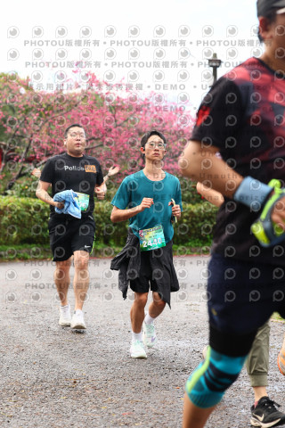 2026左岸竹東櫻花馬拉松Zhudong Sakura Marathon