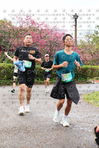 2026左岸竹東櫻花馬拉松Zhudong Sakura Marathon