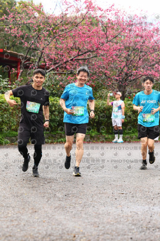2026左岸竹東櫻花馬拉松Zhudong Sakura Marathon