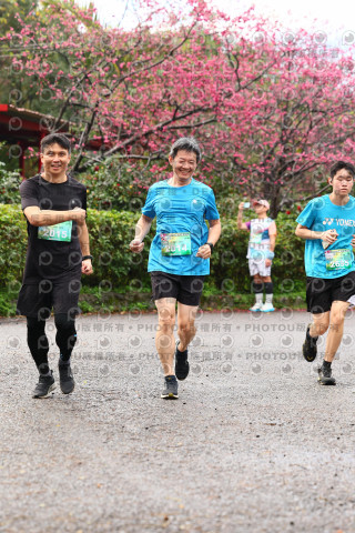 2026左岸竹東櫻花馬拉松Zhudong Sakura Marathon