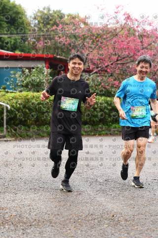2026左岸竹東櫻花馬拉松Zhudong Sakura Marathon