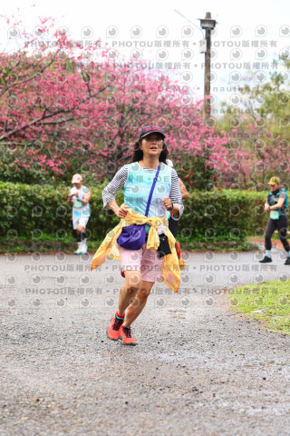 2026左岸竹東櫻花馬拉松Zhudong Sakura Marathon