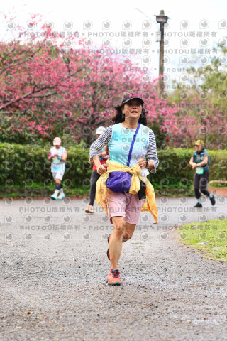 2026左岸竹東櫻花馬拉松Zhudong Sakura Marathon