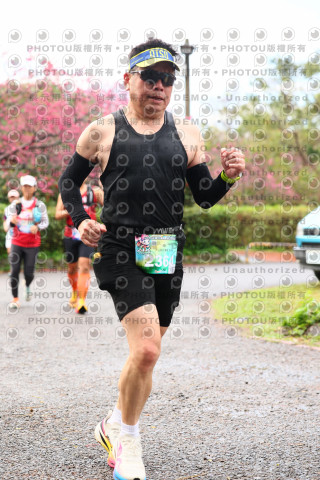 2026左岸竹東櫻花馬拉松Zhudong Sakura Marathon