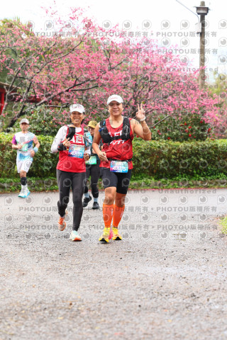 2026左岸竹東櫻花馬拉松Zhudong Sakura Marathon