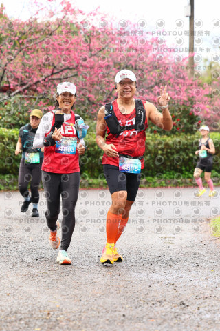 2026左岸竹東櫻花馬拉松Zhudong Sakura Marathon