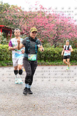 2026左岸竹東櫻花馬拉松Zhudong Sakura Marathon
