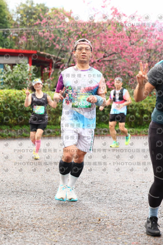 2026左岸竹東櫻花馬拉松Zhudong Sakura Marathon