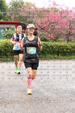 2026左岸竹東櫻花馬拉松Zhudong Sakura Marathon