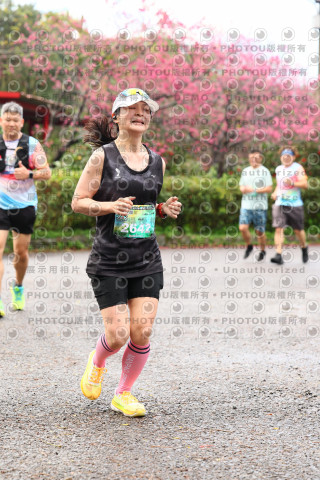 2026左岸竹東櫻花馬拉松Zhudong Sakura Marathon