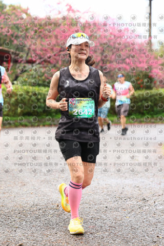 2026左岸竹東櫻花馬拉松Zhudong Sakura Marathon