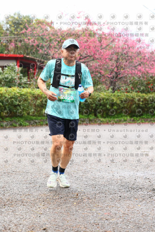 2026左岸竹東櫻花馬拉松Zhudong Sakura Marathon