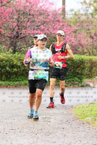 2026左岸竹東櫻花馬拉松Zhudong Sakura Marathon