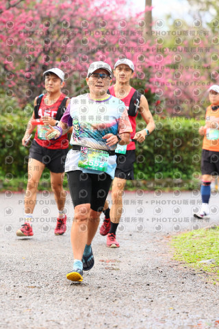 2026左岸竹東櫻花馬拉松Zhudong Sakura Marathon