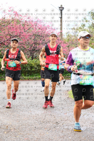2026左岸竹東櫻花馬拉松Zhudong Sakura Marathon