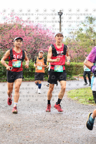 2026左岸竹東櫻花馬拉松Zhudong Sakura Marathon