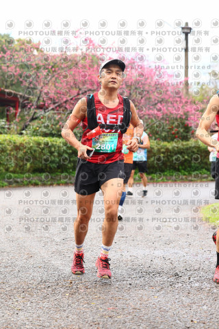 2026左岸竹東櫻花馬拉松Zhudong Sakura Marathon