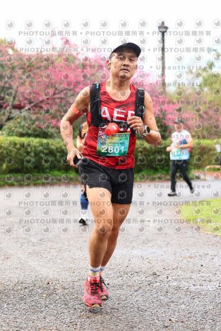 2026左岸竹東櫻花馬拉松Zhudong Sakura Marathon