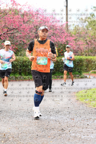 2026左岸竹東櫻花馬拉松Zhudong Sakura Marathon