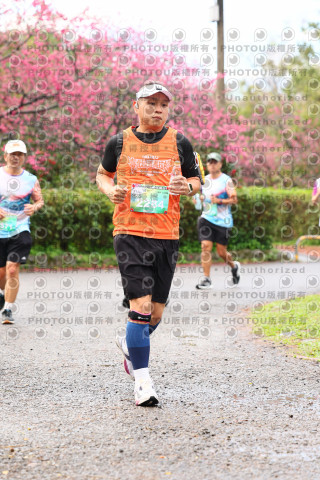 2026左岸竹東櫻花馬拉松Zhudong Sakura Marathon