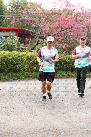 2026左岸竹東櫻花馬拉松Zhudong Sakura Marathon