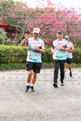 2026左岸竹東櫻花馬拉松Zhudong Sakura Marathon