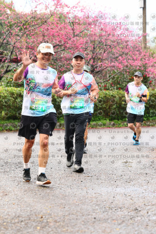 2026左岸竹東櫻花馬拉松Zhudong Sakura Marathon