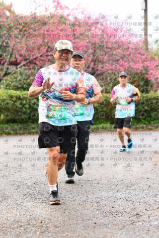 2026左岸竹東櫻花馬拉松Zhudong Sakura Marathon