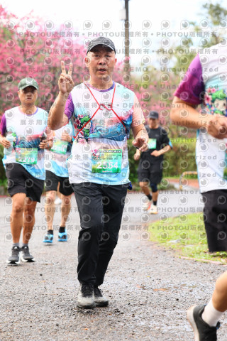 2026左岸竹東櫻花馬拉松Zhudong Sakura Marathon