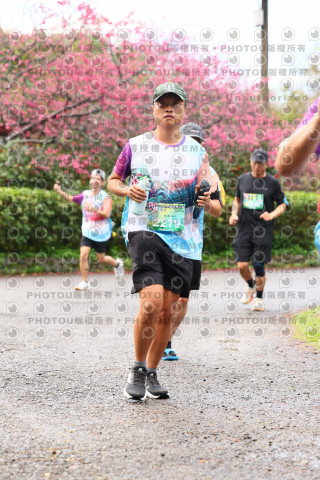 2026左岸竹東櫻花馬拉松Zhudong Sakura Marathon