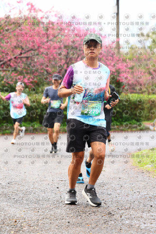 2026左岸竹東櫻花馬拉松Zhudong Sakura Marathon